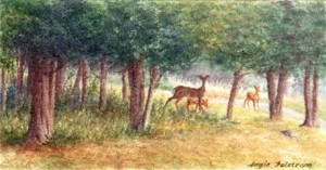 Deer, Lyme