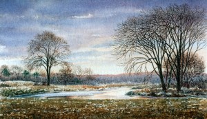 Millpond in Winter, sterling city, lyme
