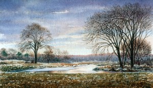 Millpond in Winter, sterling city, lyme