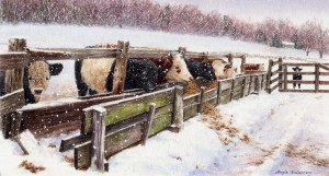 Winter Morning, tiffany farm, cow