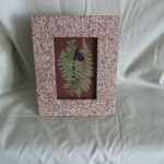 Pressed Botanicals by Diana Lord