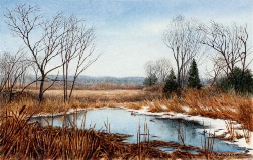 Marsh on Ely's Ferry Road