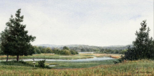 Connecticut River Marsh