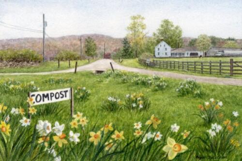Daffodil Season, Tiffany Farms
